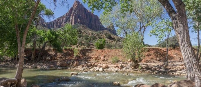 Stappen zetten Stappen zetten