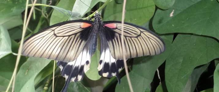 fietsvakantie 2018 fietsvakantie 2018