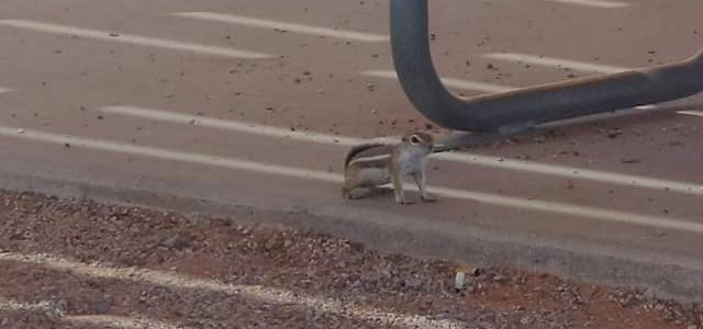 6 september Valley of Fire & St.George 6 september Valley of Fire & St.George